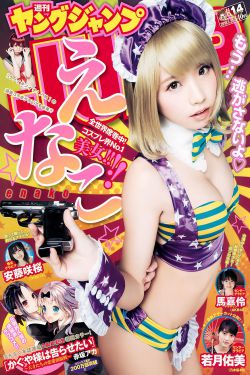 芬迪包