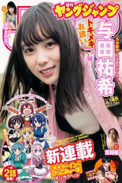 顶级情人小说